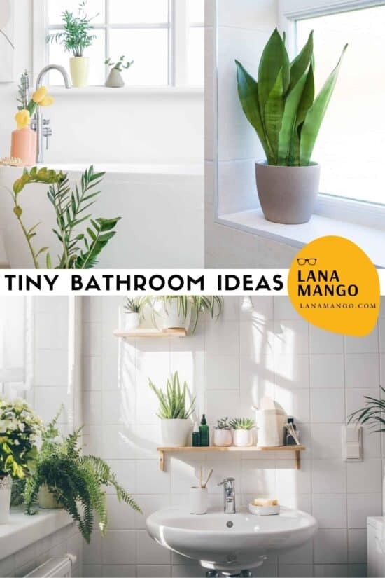 Plants in tiny bathroom